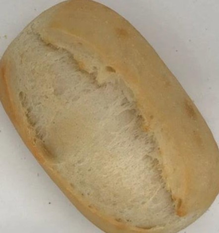 10159